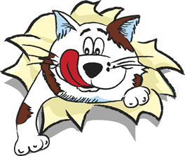 dreamies dog