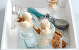 Honey and Goat's Milk Ice Cream with Pastellli Garnish
