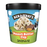 Ben & Jerry's Peanut Butter Cup Ice Cream Tub