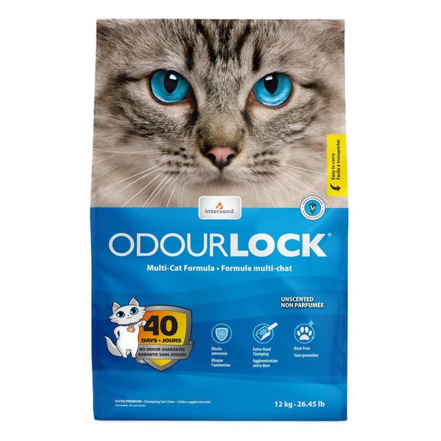Intersand Odourlock Clumping Cat Litter, 12kg