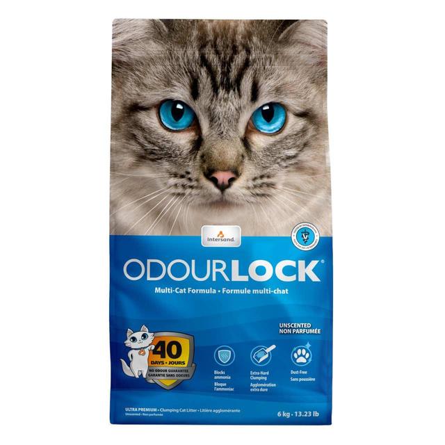 Intersand Odourlock Clumping Cat Litter, 6kg