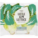 M&S Little Gem Lettuce