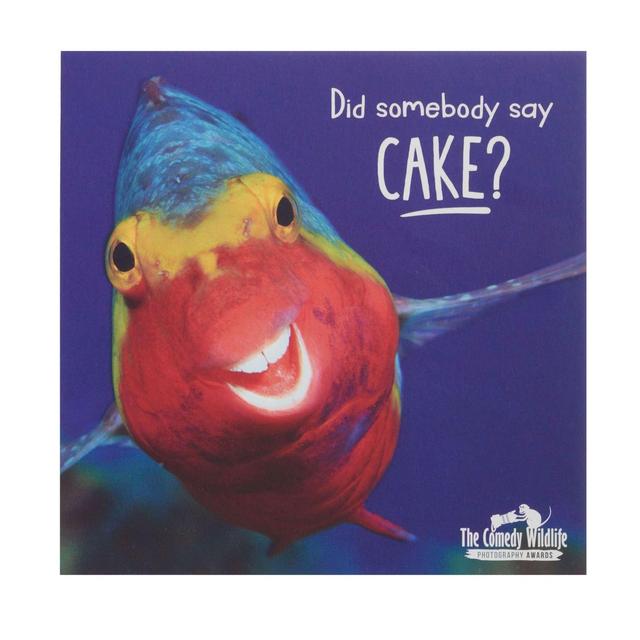 UK Greetings Did Somebody Say Cake Birthday Card