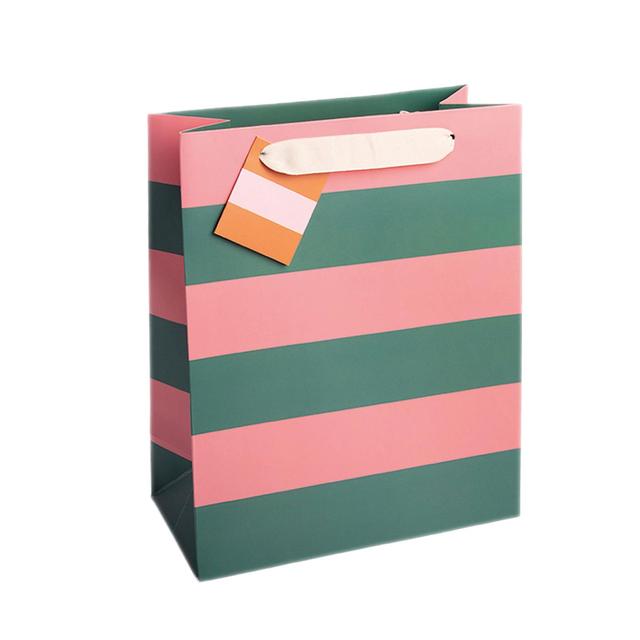 Caroline Gardner Green & Pink Stripe Medium Gift Bag