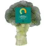 Ocado Organic Broccoli