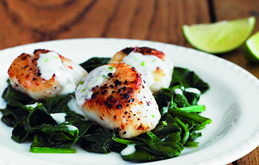 Pan Fried Scallops with Lime and Honey Dressing 