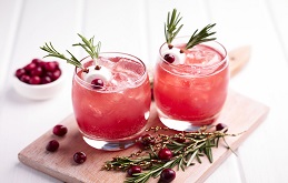 Rudolph's Cranberry Mocktail