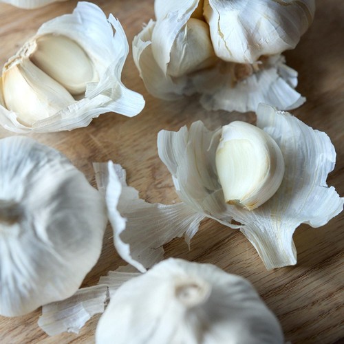 Natoora Large Spanish Garlic