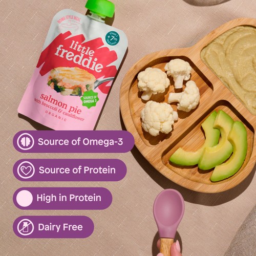 Little Freddie Organic Salmon Pie Baby Food Pouch 7+ Months