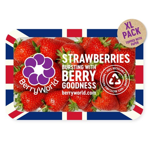 Berryworld British Strawberries XL