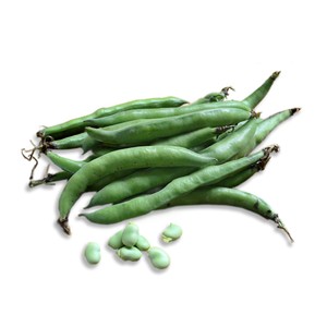 Daylesford Organic Broad Beans