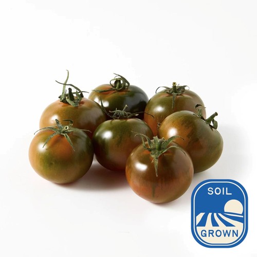 Natoora Sardinian Camone Winter Tomatoes