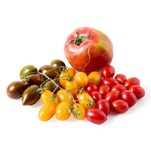 Natoora Seasonal Tomato Selection