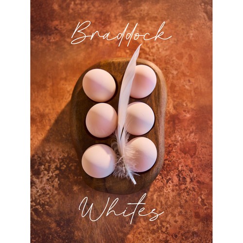 Clarence Court Braddock White 6 Free Range Duck Eggs