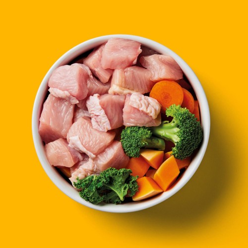 Nutriment Turkey Formula Raw Dog Food