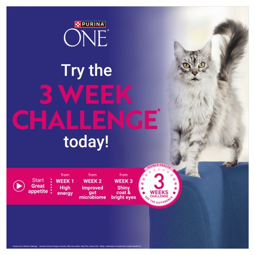 Purina One Mini Fillets Mixed Selection in Gravy Wet Cat Food 
