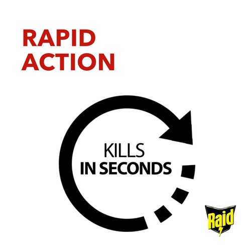 Raid Rapid Action Fly & Wasp Killer