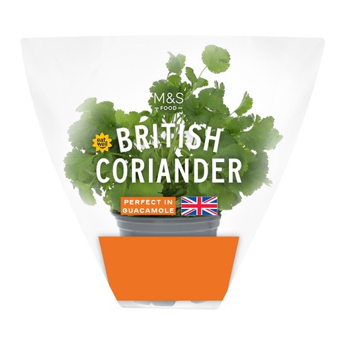 M&S British Coriander Pot
