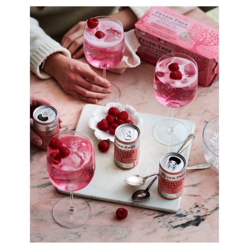 Fever-Tree Light Rhubarb & Raspberry Tonic Cans