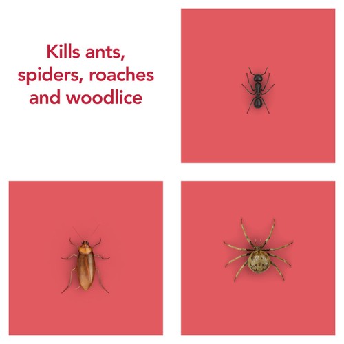 Raid Ant & Cockroach Killer
