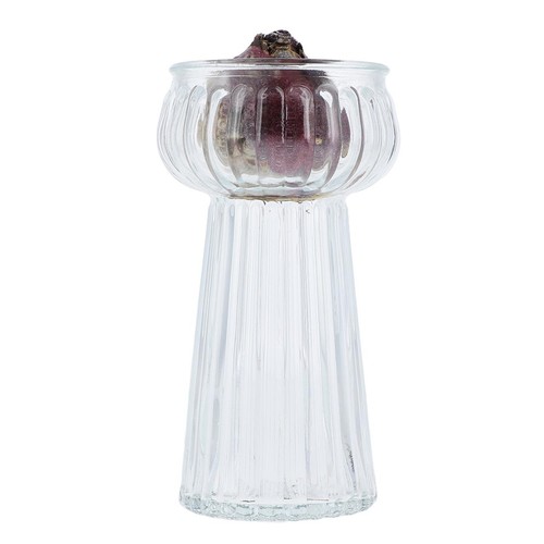 M&S Hyacinth Bulb Vase