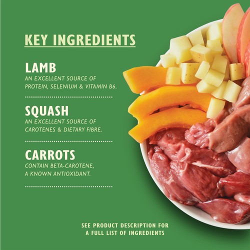 Lilys Kitchen Lamb Hotpot For Dogs