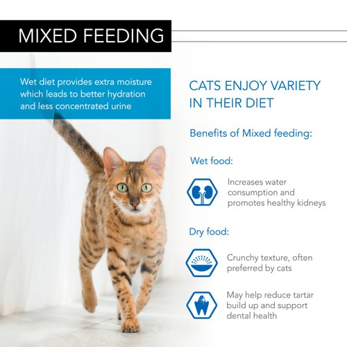 Pro Plan Nutrisavour Delicate Adult Wet Cat Food with Ocean Fish