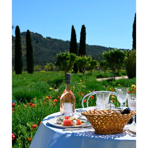 Roseblood Provence Rose