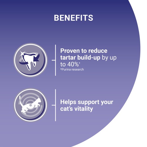 Purina One Chicken Dry Cat Food 