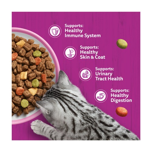 Whiskas 1+ Adult Dry Cat Food with Salmon