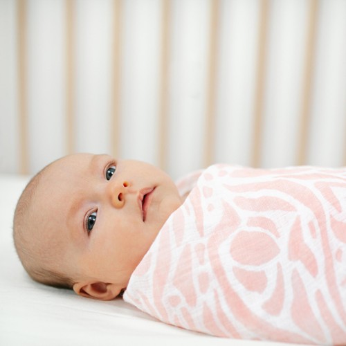 Aden + Anais Muslin Swaddle Blankets, Tropicalia