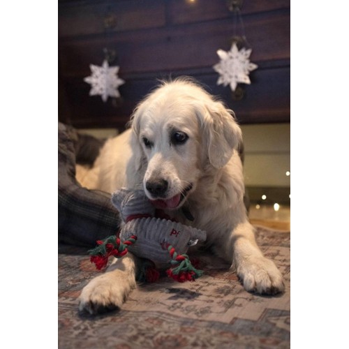 Petface Roger Rope Legs With Scarf Plush Dog Toy