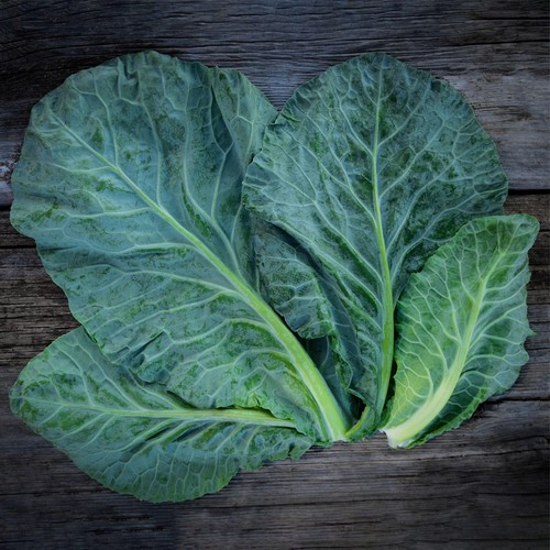 She Grows Veg  Collard Greens Champion Seeds