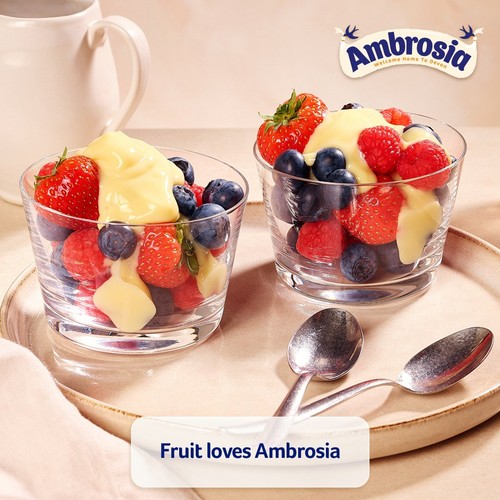 Ambrosia Devon Custard Dessert Snack Pots