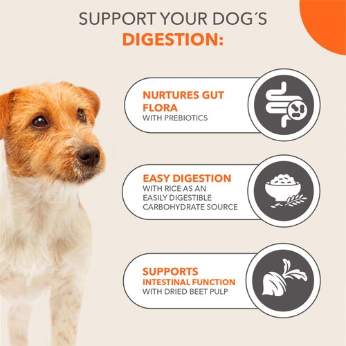 IAMS Sensitive Digestion Dry Dog Food Turkey