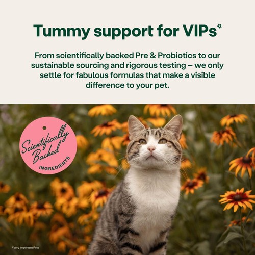 YuMOVE Digestive Support Rapid Powder for Dogs & Cats