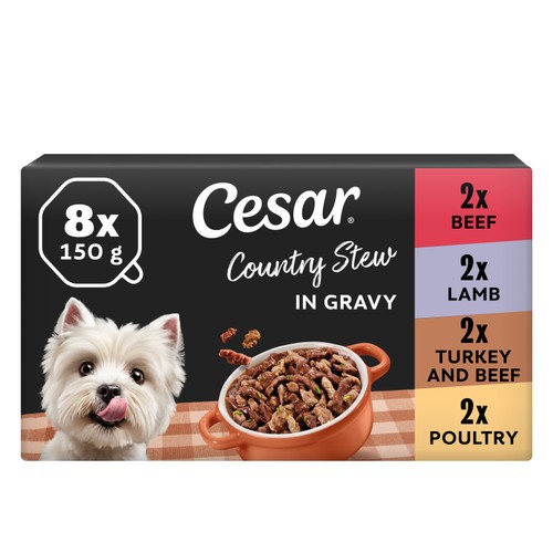 Cesar Country Stew Adult Wet Dog Food Trays Special Selection 