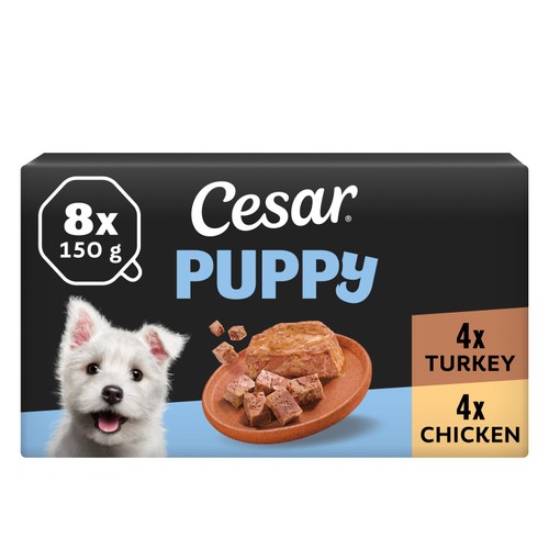 Cesar Classics Terrine Wet Puppy Food with Chicken & Turkey in Loaf