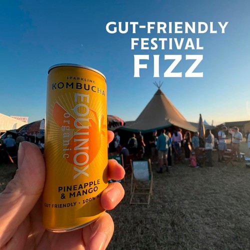 Equinox Organic Pineapple & Mango Kombucha