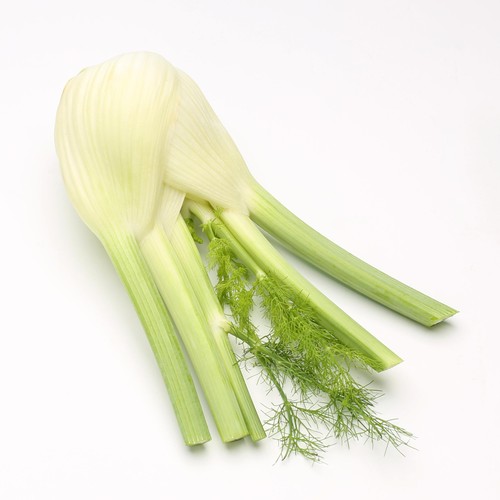 Daylesford Organic Fennel