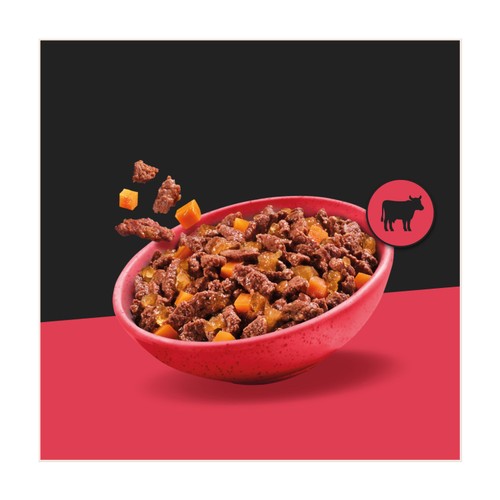 Cesar Deliciously Fresh Dog Food Pouches Mixed Selection in Jelly