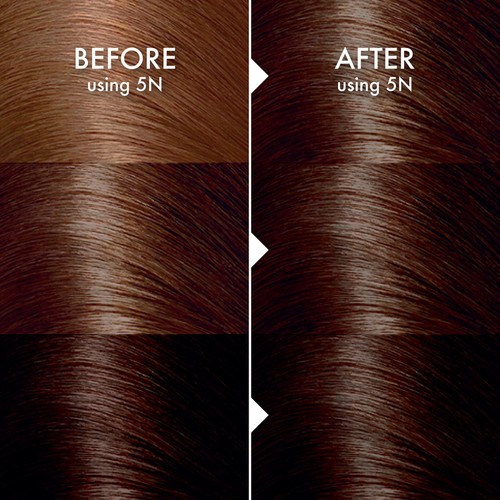 John Frieda Precision Foam Colour Medium Natural Brown 5N