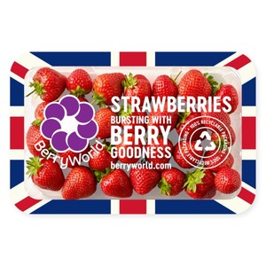 Berryworld Strawberries XL
