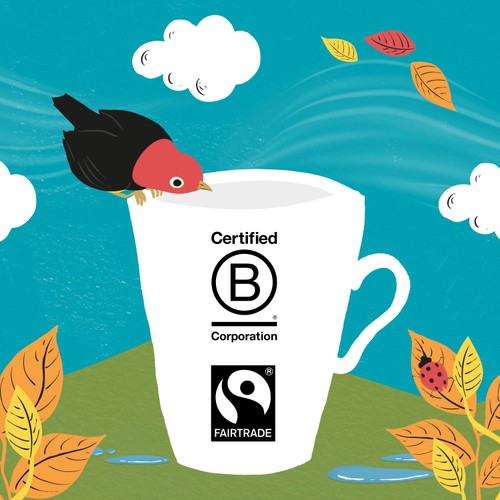 Clipper Fairtrade Drinking Chocolate