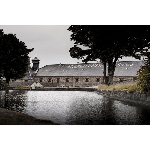 Bushmills 12 Year Old Single Malt Irish Whiskey
