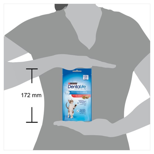 Dentalife Dental Salmon Cat Treats