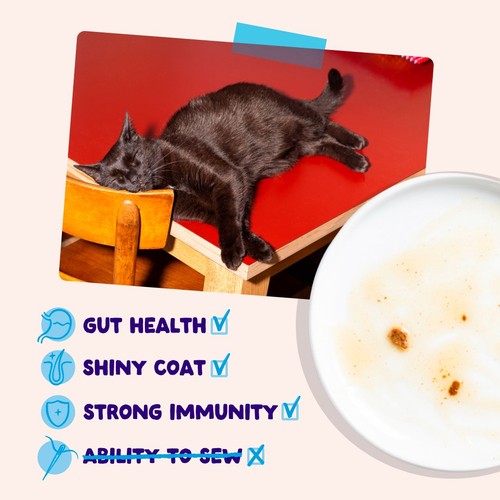 Edgard & Cooper Cat Chunks in Sauce Pouches Catch Multipack