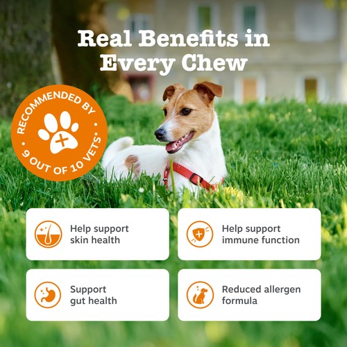 Zesty Paws Allergy & Immunity Chews Rich in Salmon Dog Treats