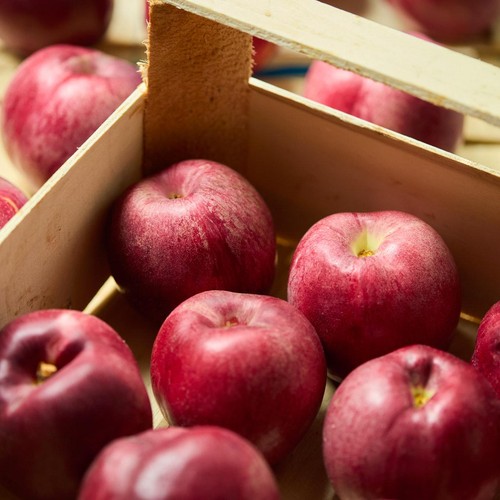 Natoora French Blood Nectarine