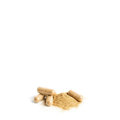 Daylesford Herbal Organic 8 Mushroom Extract Supplement Capsules
